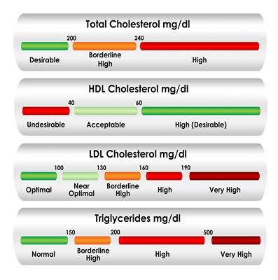 Reducing Cholesterol Levels - healthandsymptoms