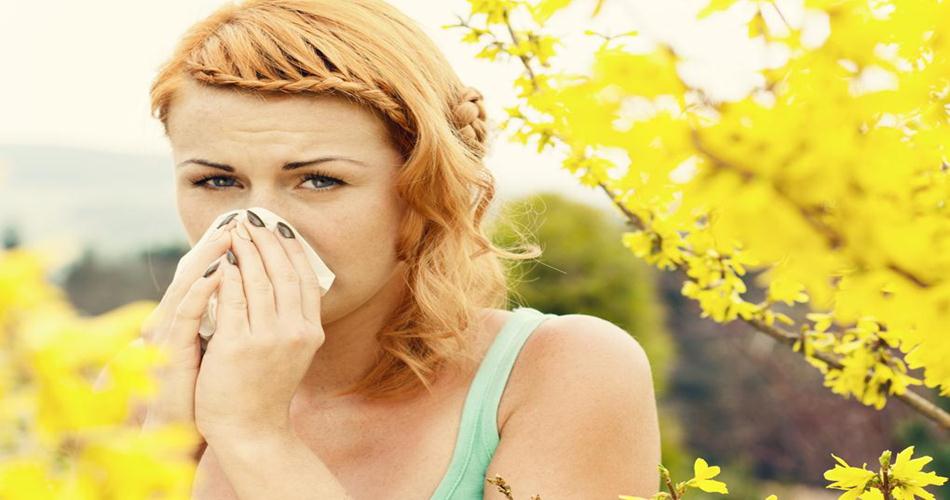 Suffering From Allergies? Here’s Why